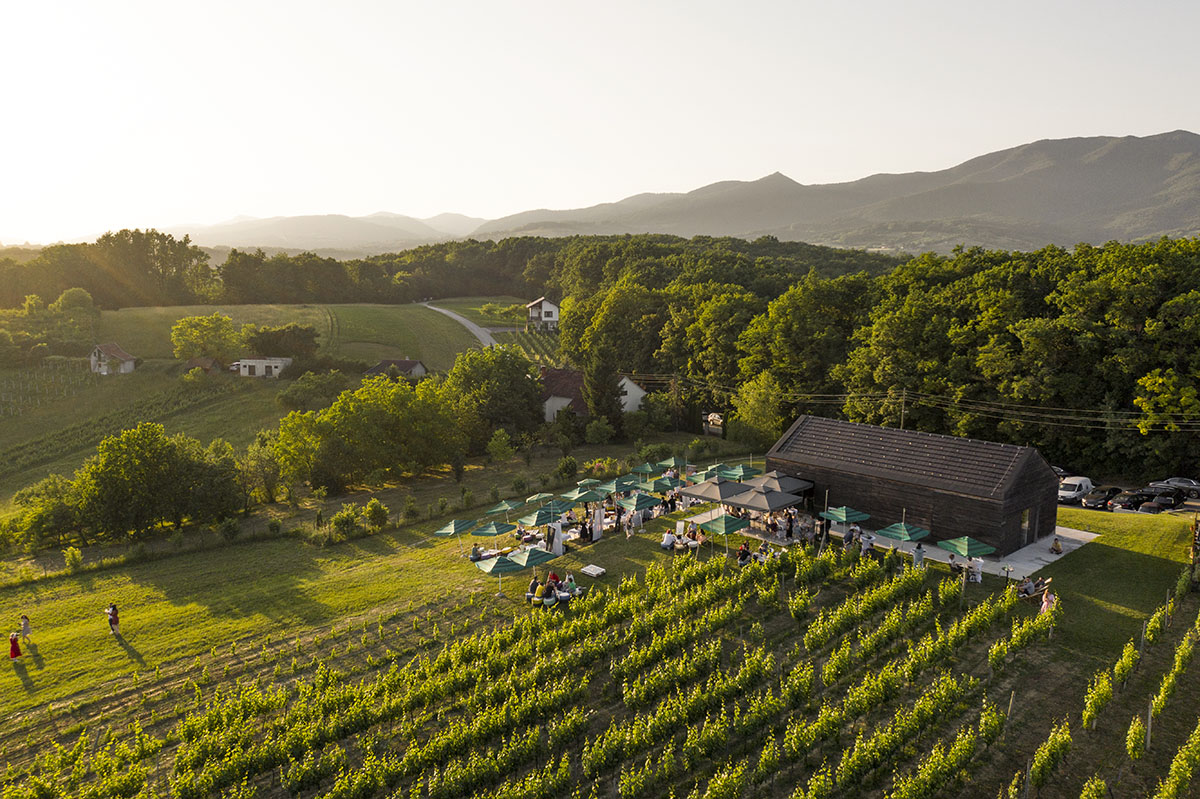 Vinogradi S Pogledom O Arali Ljubitelje Prirode I Dobrih Vina Domagoj