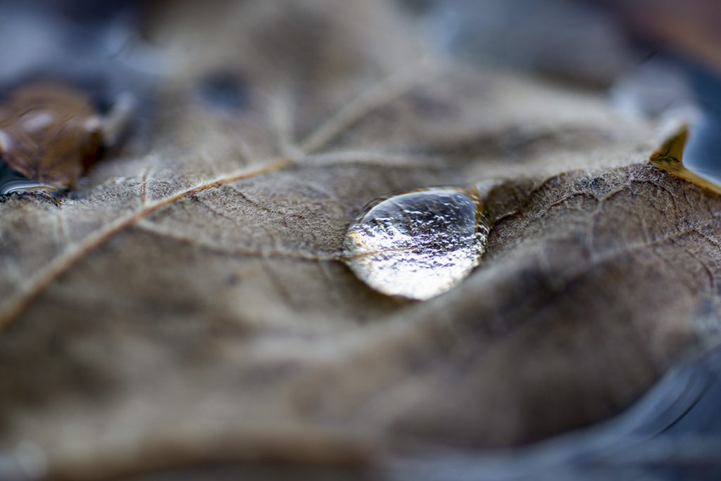 Plitvička jezera najbolje foto lokacije detalj