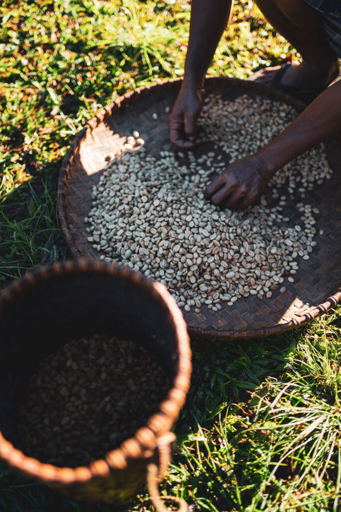 kava