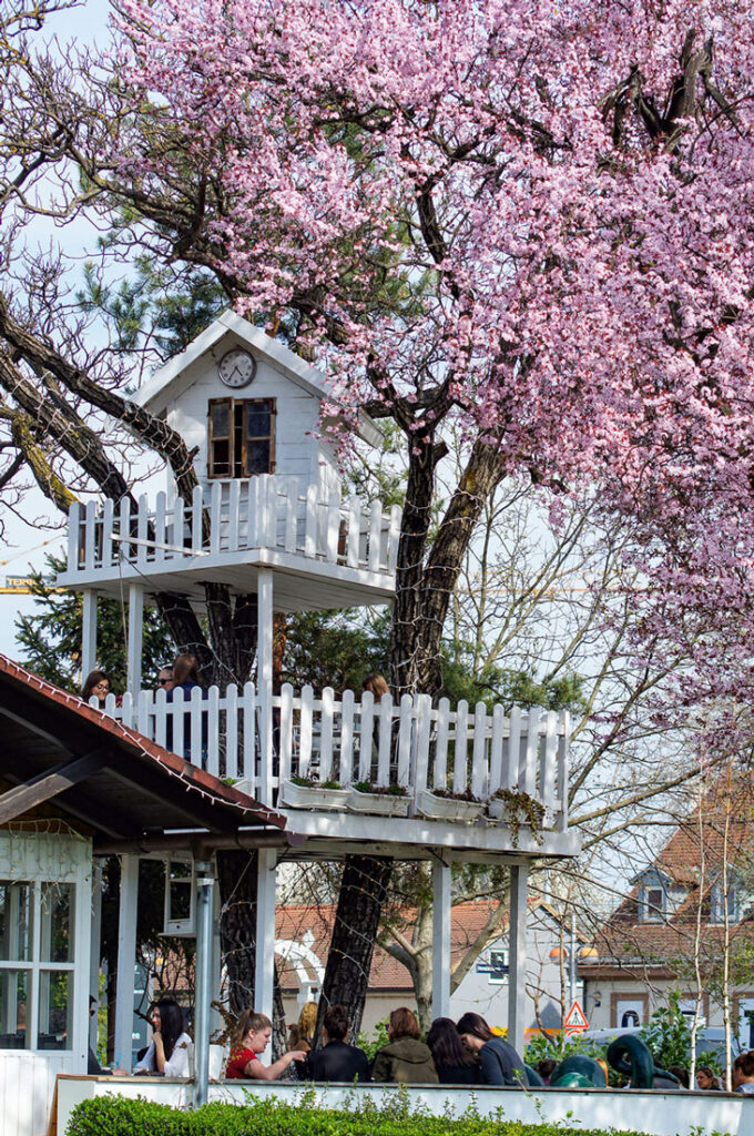 Zagreb-the-most-unusual-garden