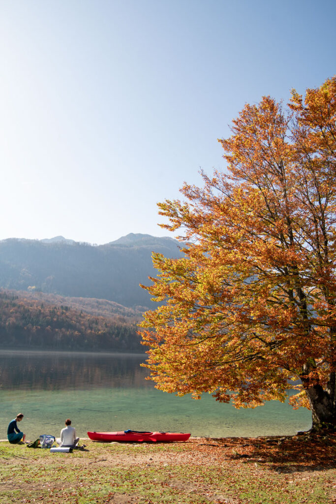 jezera slovenije i hrvatske bohinj